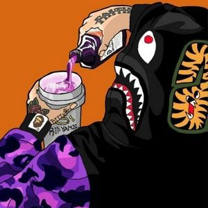 Meet your Posher, Usma